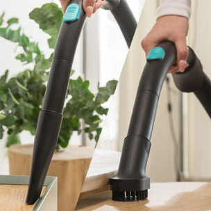 Cecotec Aspirateur-traîneau sans sac Conga RockStar Multicyclonic