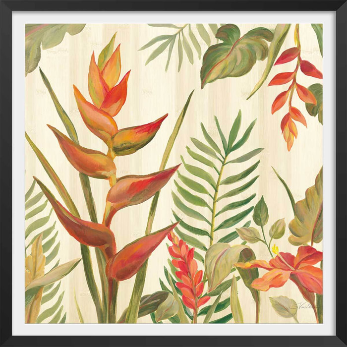 Affiche Oiseaux du paradis en aquarelle Affiche + cadre en bois - Noir