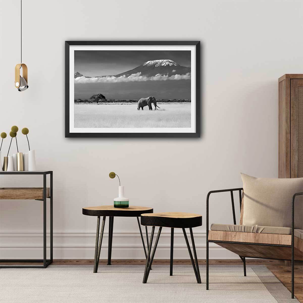 Affiche éléphant et kilimanjaro Affiche + cadre en bois - Noir