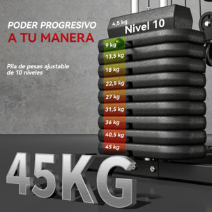 Multiestación Musculación, Máquina de Musculación con Prensa de Pecho, Placas de Peso de 45 kg, Curl de Piernas y Brazos, Polea Mariposa, Carga 100 kg, para Entrenamiento Casa Gimnasio, Negro