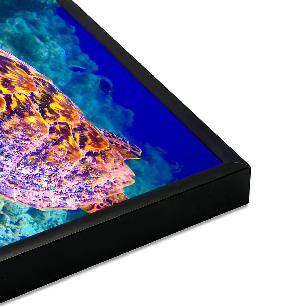 Affiche encadrée tortue marine sous l’eau Affiche + cadre en métal - Noir