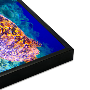 Affiche encadrée tortue marine sous l’eau Affiche + cadre en métal - Noir