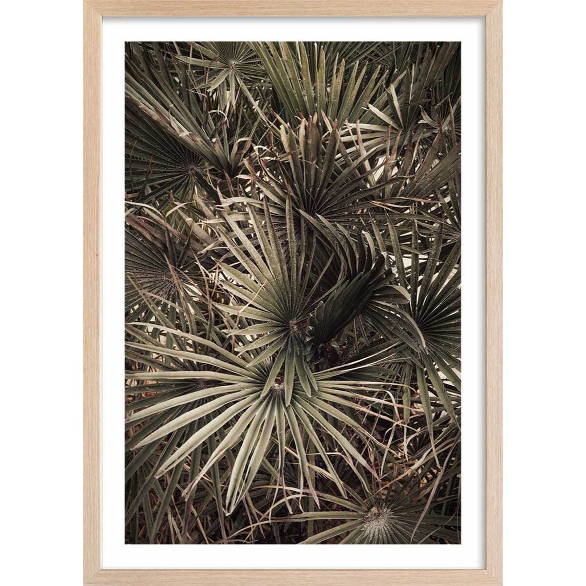 Poster tropicana mood Affiche + cadre en bois - Chêne