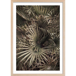 Poster tropicana mood Affiche + cadre en bois - Chêne