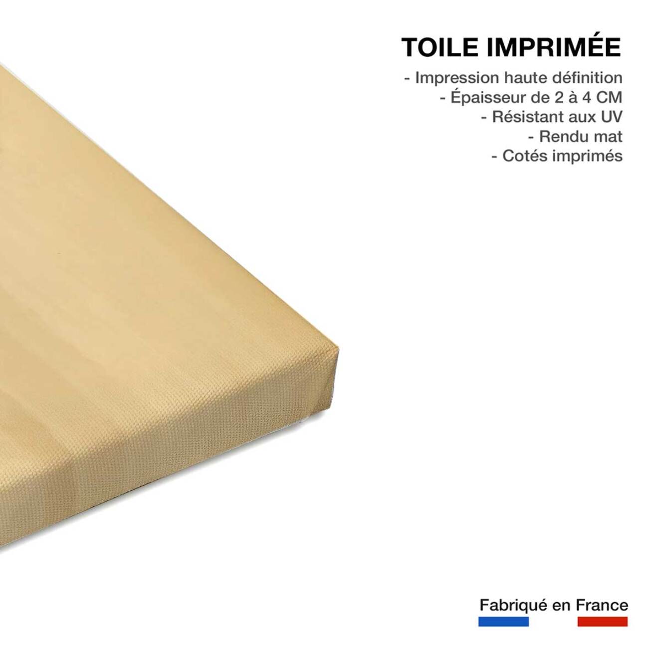 Tableau tempete en mer enbata sur socoa  Toile imprimée