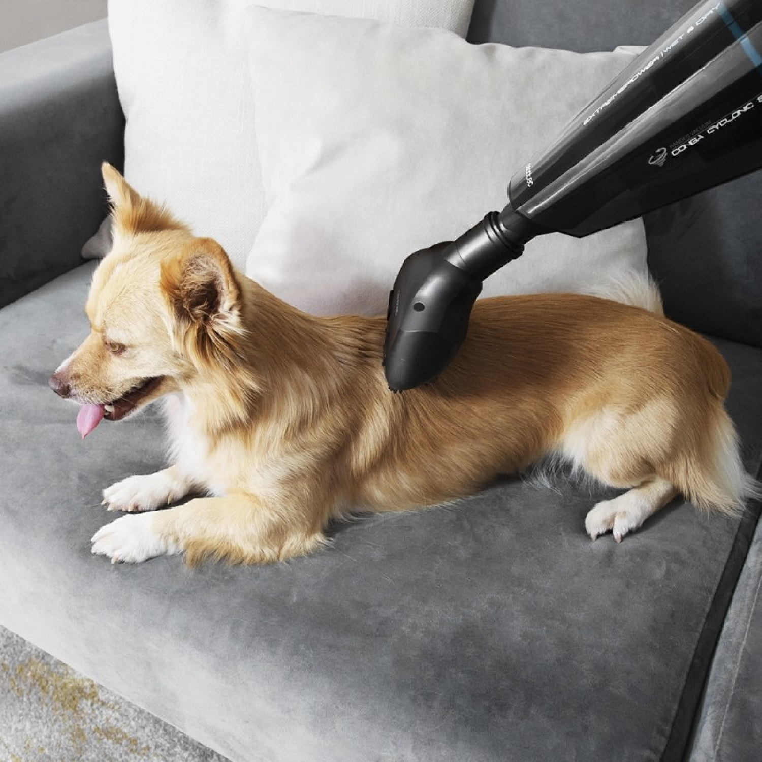 Cecotec Aspirateur à main Conga Immortal ExtremeSuction 22,2 Animal Hand
