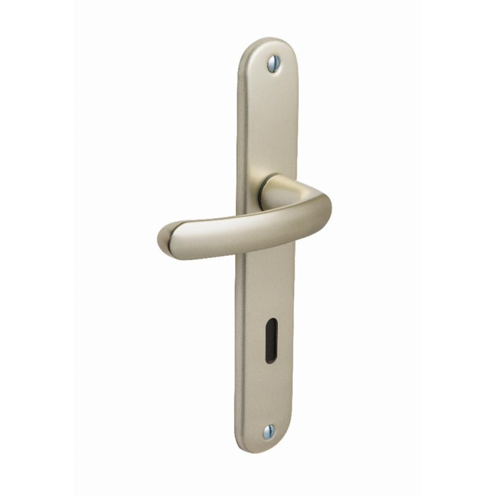 Ensemble de porte Budget BEZAULT entraxe 165mm Clé L - Champagne - 73276