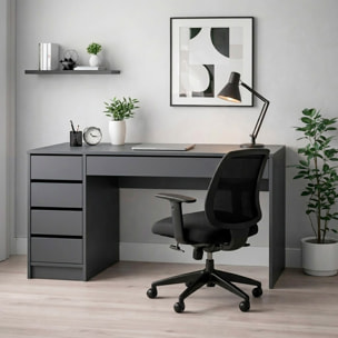 Scrivania moderna con 4 cassetti 1 cassettone centrale Scrittoio da Studio o Ufficio Mobile Desk 120 x 75 x 55 cm antracite