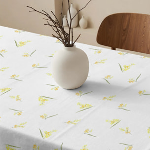 Nappe anti-taches 100% coton Zeus