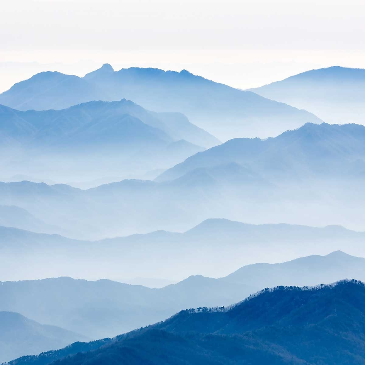 Affiche paysage montagnes bleues Affiche + cadre en bois - Noir