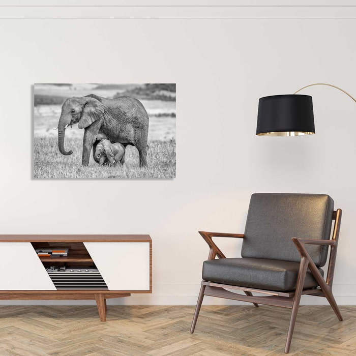 Tableau Mère éléphant Tableau alu Dibond