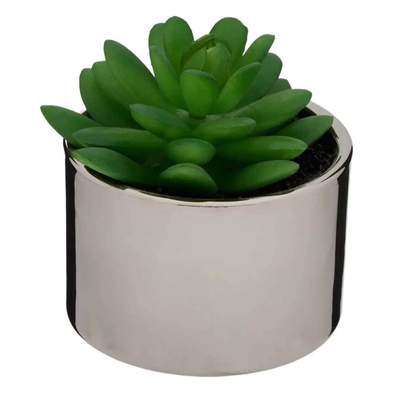 Plante verte pot céramique H.15