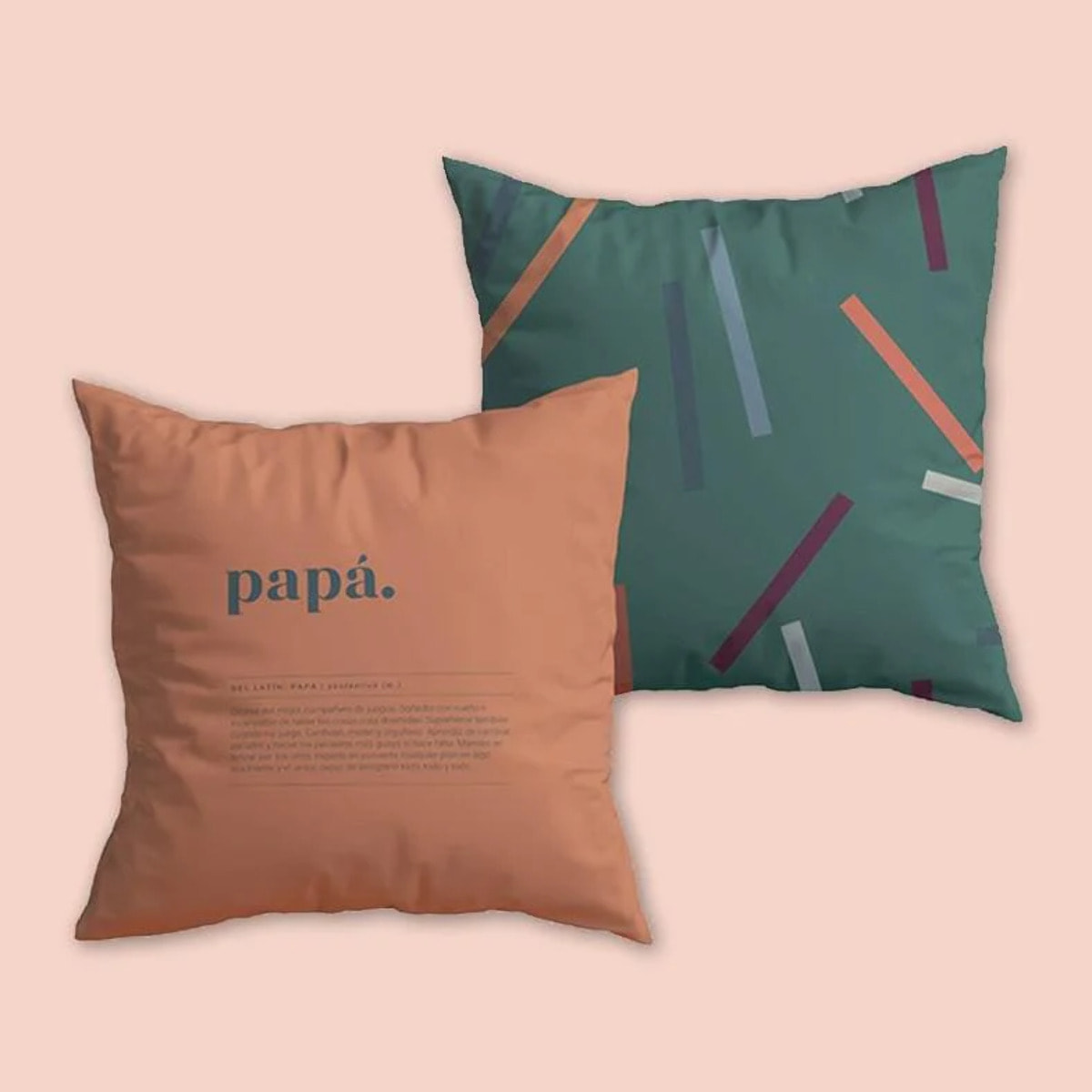 Funda Cojín "Papá extraordinario" Teja