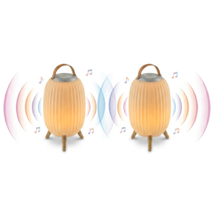 EZIlight® Ambiant XL x2