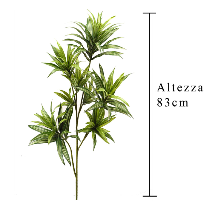 Dracena Con 141 Foglie. Altezza 83 Cm - Pezzi 1 - 37X83X31cm - Colore: Verde - Bianchi Dino - Piante Artificiali