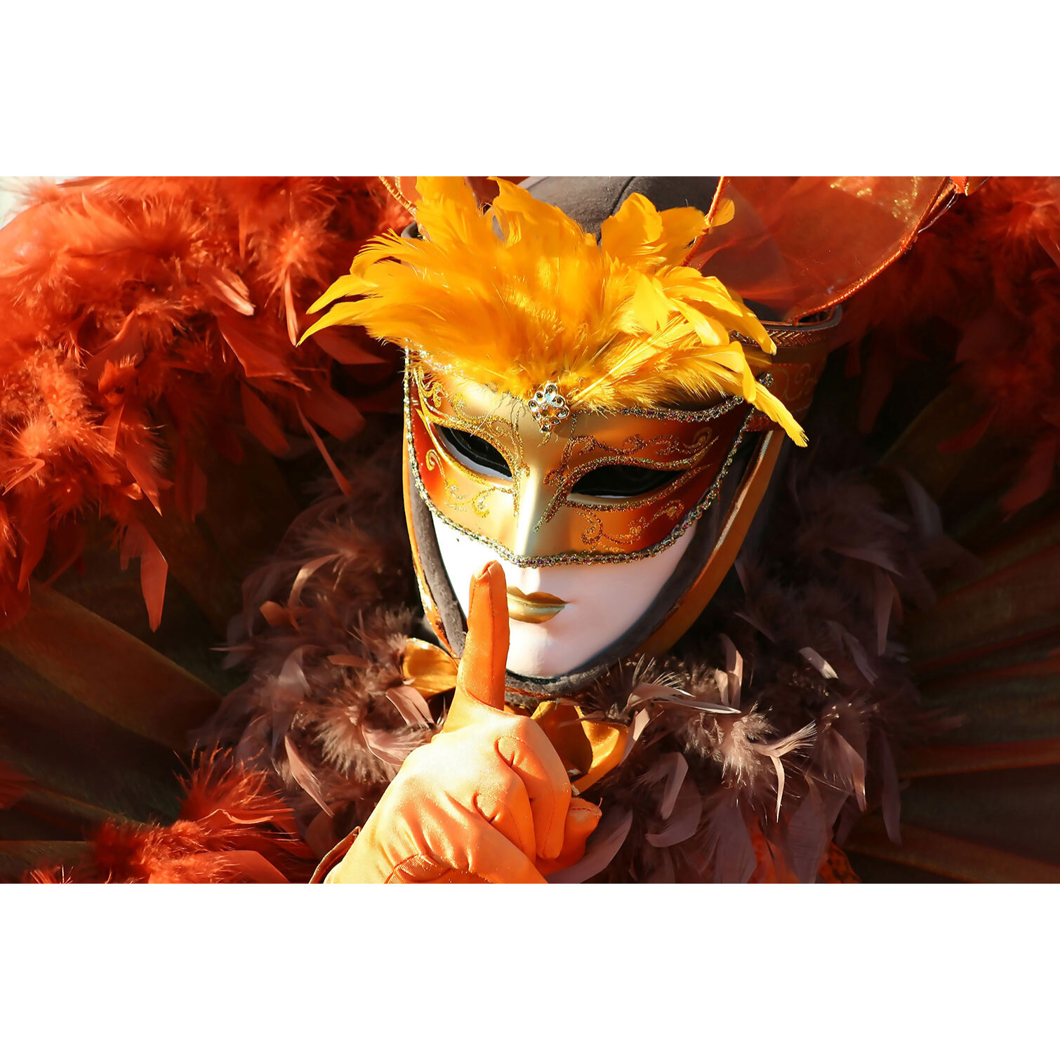 Tableau monde carnaval de venise  Tableau alu Dibond