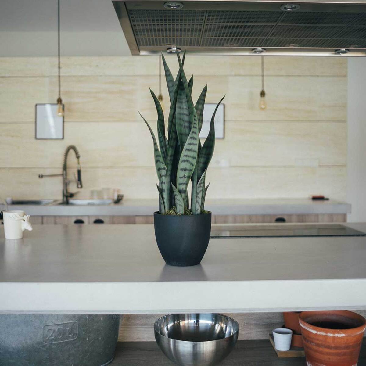 Planta Artificial Sansevieria 70 Cm