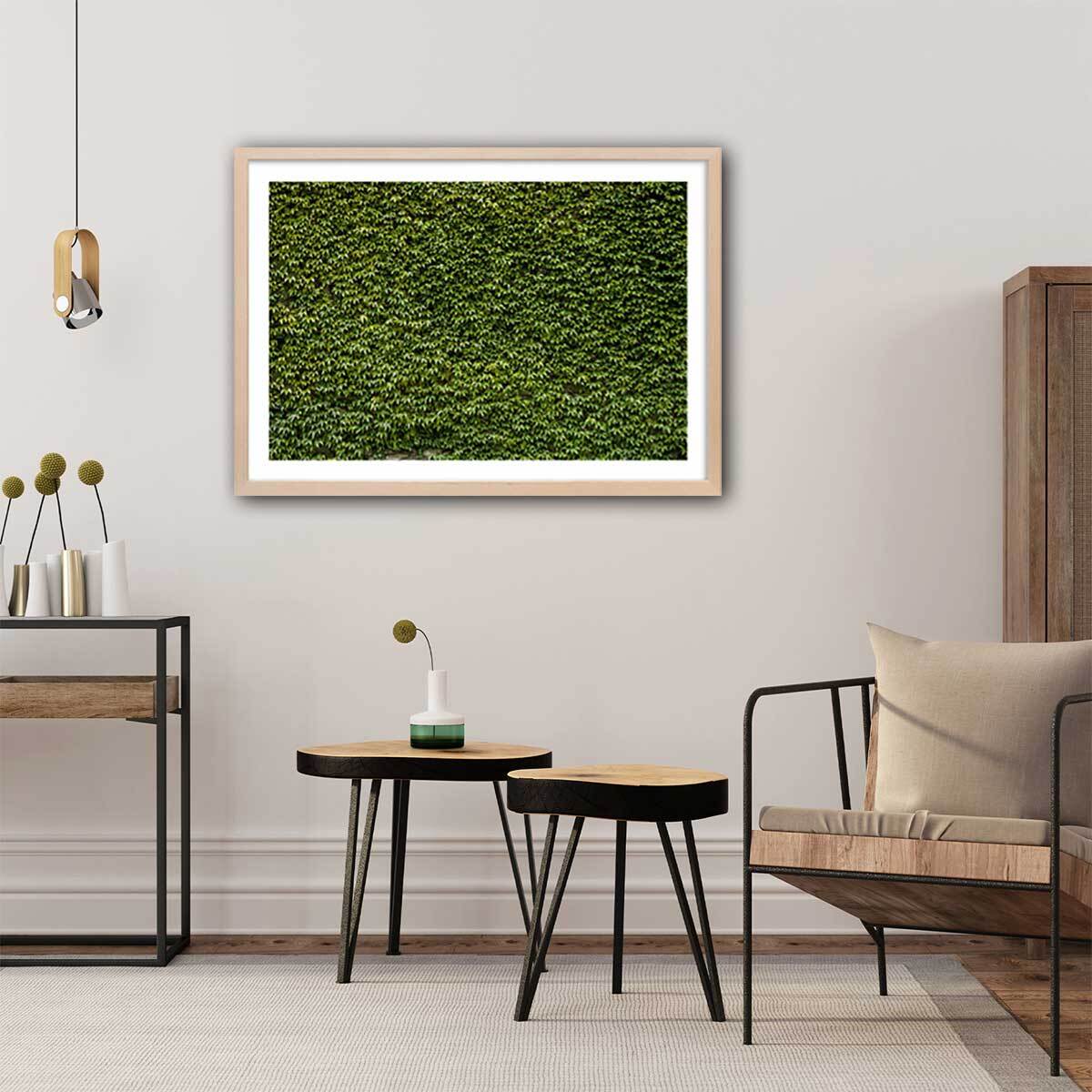 Affiche nature mur de lierres Affiche + cadre en bois - Chêne