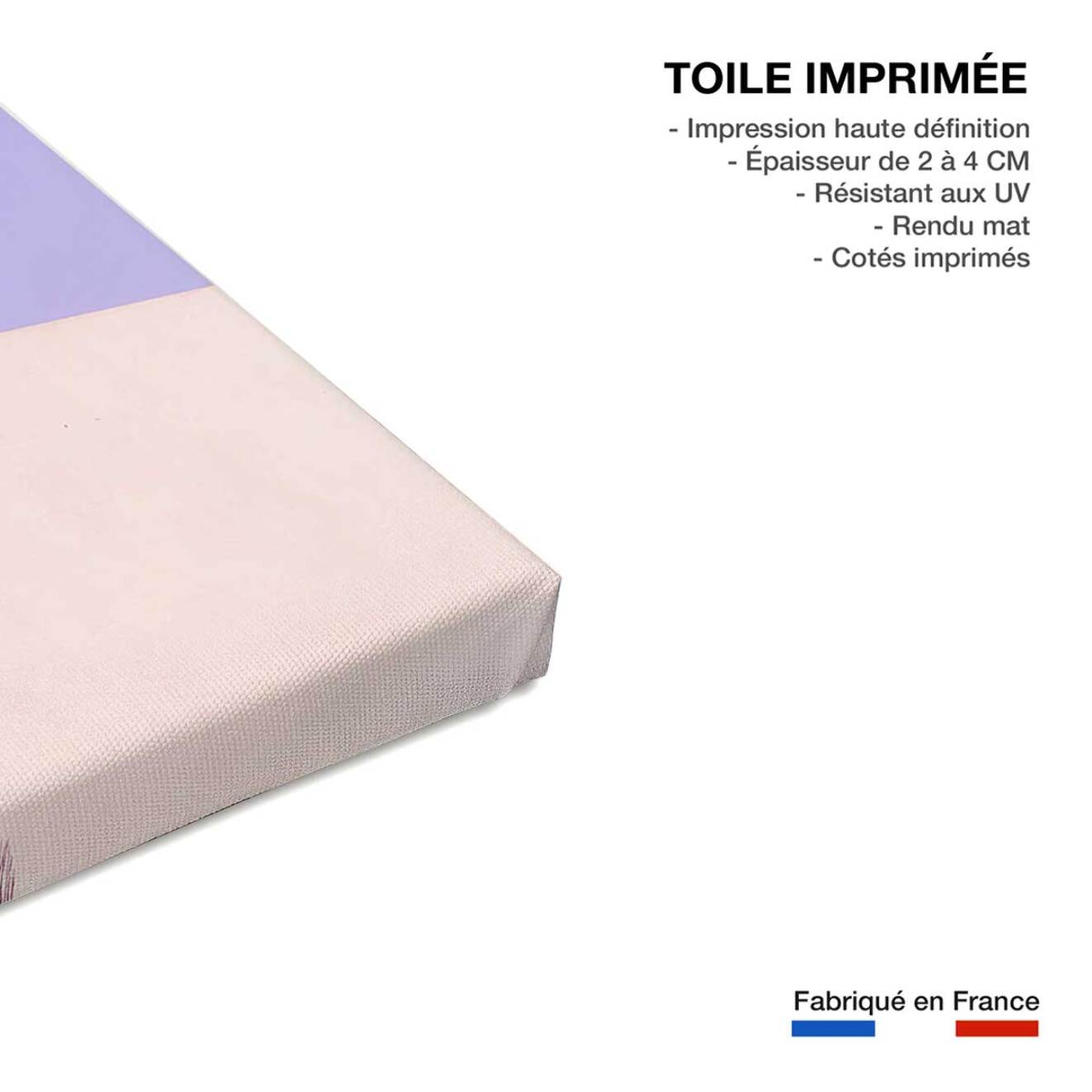 Tableau palma rose Toile imprimée