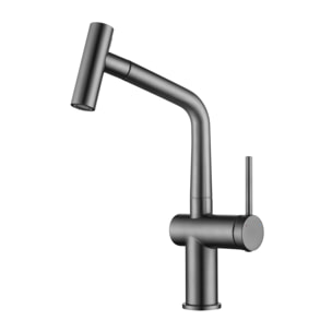 Timeless mitigeur d'évier à levier en acier inoxydable avec douchette extractible, monotrou, gun metal brossé (TMLKF185BGM)