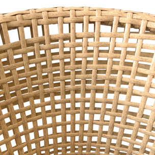 Lot de 2 fauteuils en rotin synthétique avec coussins RINA