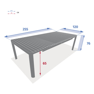 Table de jardin extensible "Paradize" acacia 12 places
