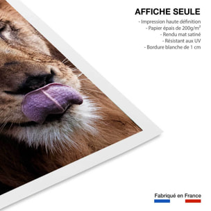 Affiche animaux delice de lion Affiche seule