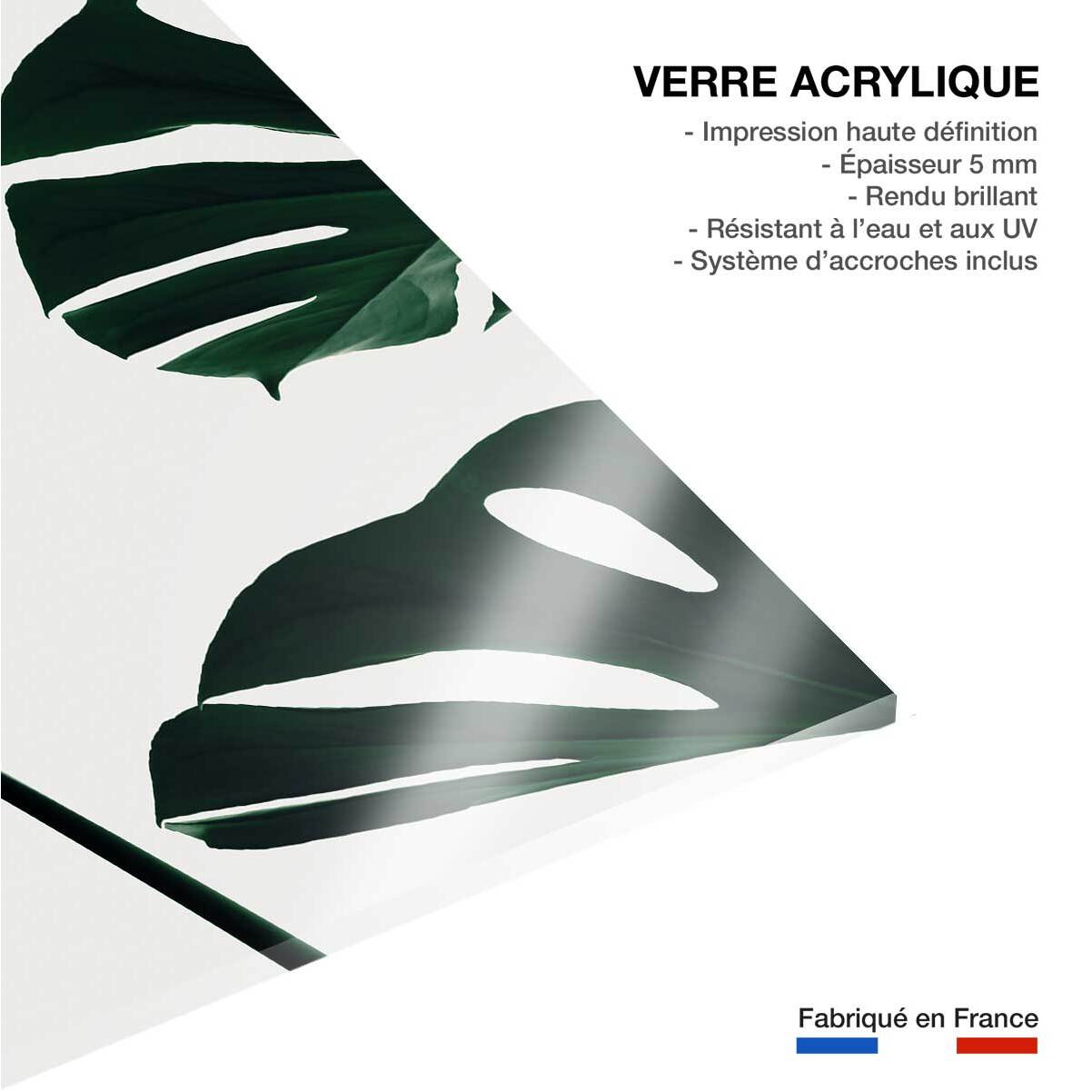 Tableau monstera quattro Tableau plexiglas