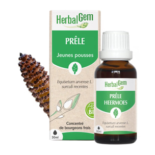 Herbalgem- Bourgeon de Prêle - Bio - 30 ml