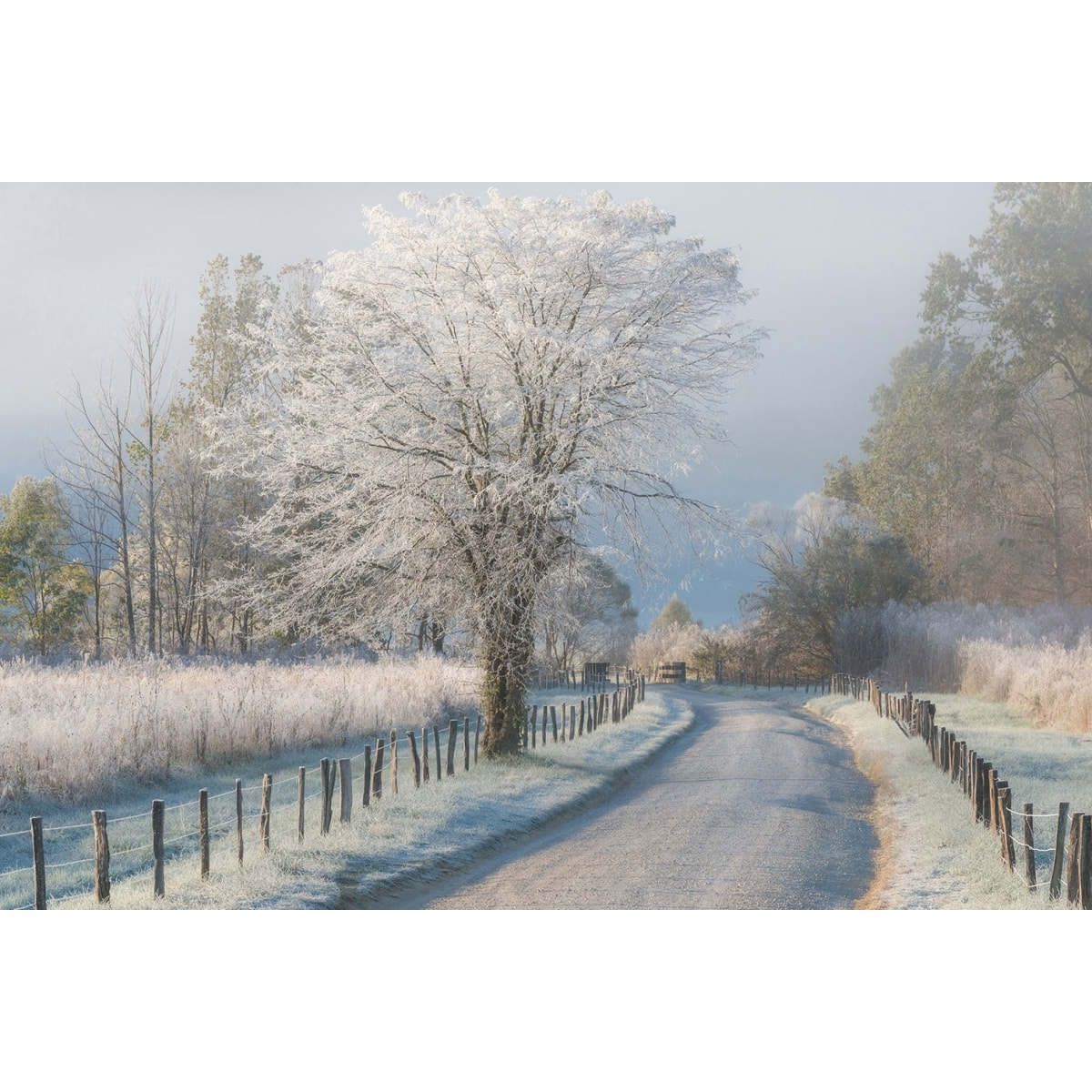 Tableau paysage Un matin glacial Toile imprimée