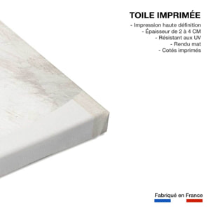 Tableau argile n°2  Toile imprimée