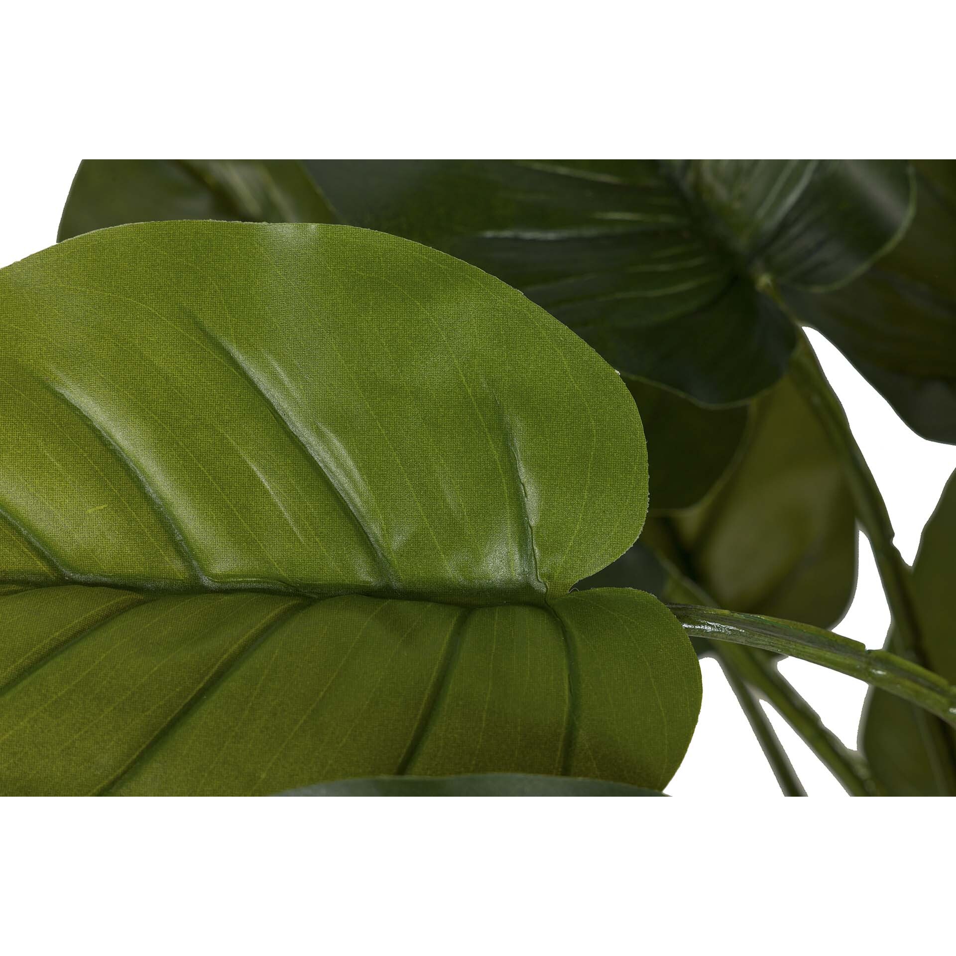 Planta Artificial Rhadhidophora Aureum Con Maceta 50x50x73 Cm