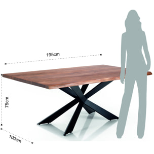Tomasucci Tableau AMON Multicolore