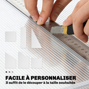 Lot de 10 panneaux polycarbonate alvéolaire 4 mm transparent dim. 120L x 60l cm