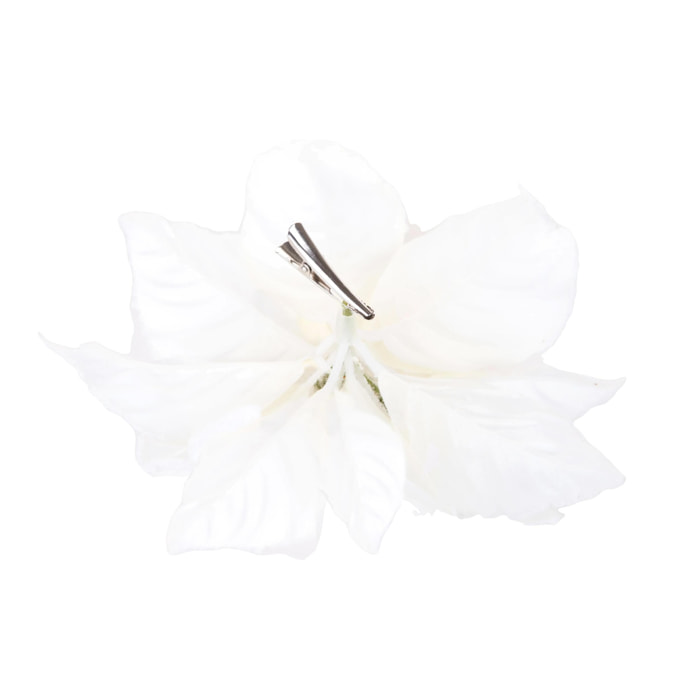 Stella Con Clip con Neve - Pezzi 12 - Colore Crema - 24x5Hx24cm - Bianchi Dino