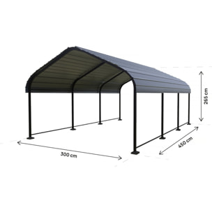 Carport abri de voiture en métal "Phoenix" - 13,5 m² - Gris
