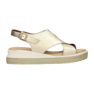 Sandali Donna Tata Italia Dorato