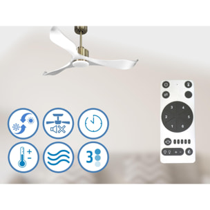 Ventilateur de plafond Réversible  Thermostat Dimmable Wifi Moteur à courant continu Toits en pente Télécommande Lumière à trois tons Adaptateur 2/3 Lames
