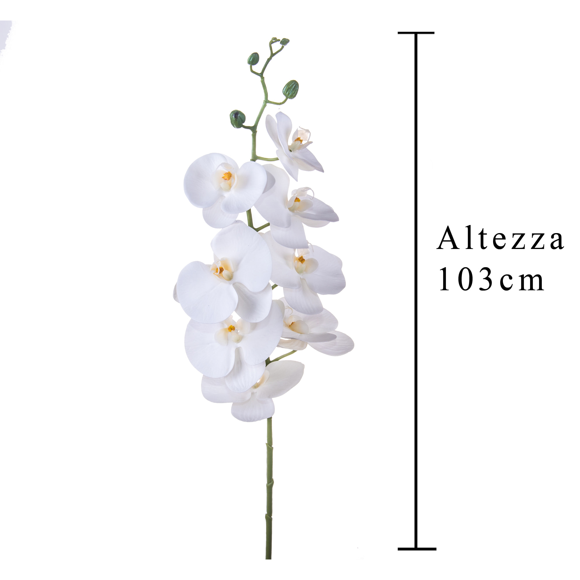 Phalaenopsis Con 8 Fiori. Altezza 103 Cm - Pezzi 4 - 20X103X9cm - Colore: Bianco - Bianchi Dino - Fiori Artificiali