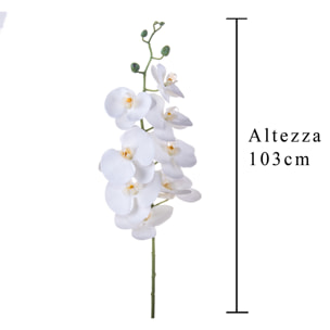 Phalaenopsis Con 8 Fiori. Altezza 103 Cm - Pezzi 4 - 20X103X9cm - Colore: Bianco - Bianchi Dino - Fiori Artificiali