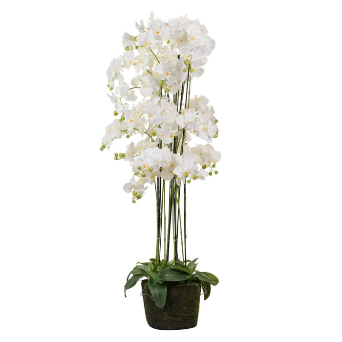 Orquidea Poliester Blanca Con Maceta 70x70x155 Cm