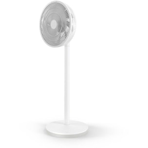 Ventilateur DUUX DXCF60 WHISPER Essence