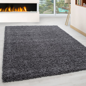 OTTAWA - Tapis shaggy uni Gris