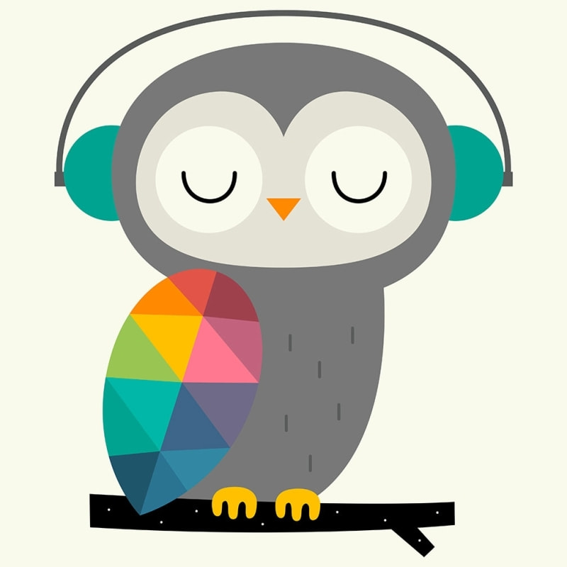 Tableau hibou music Toile imprimée