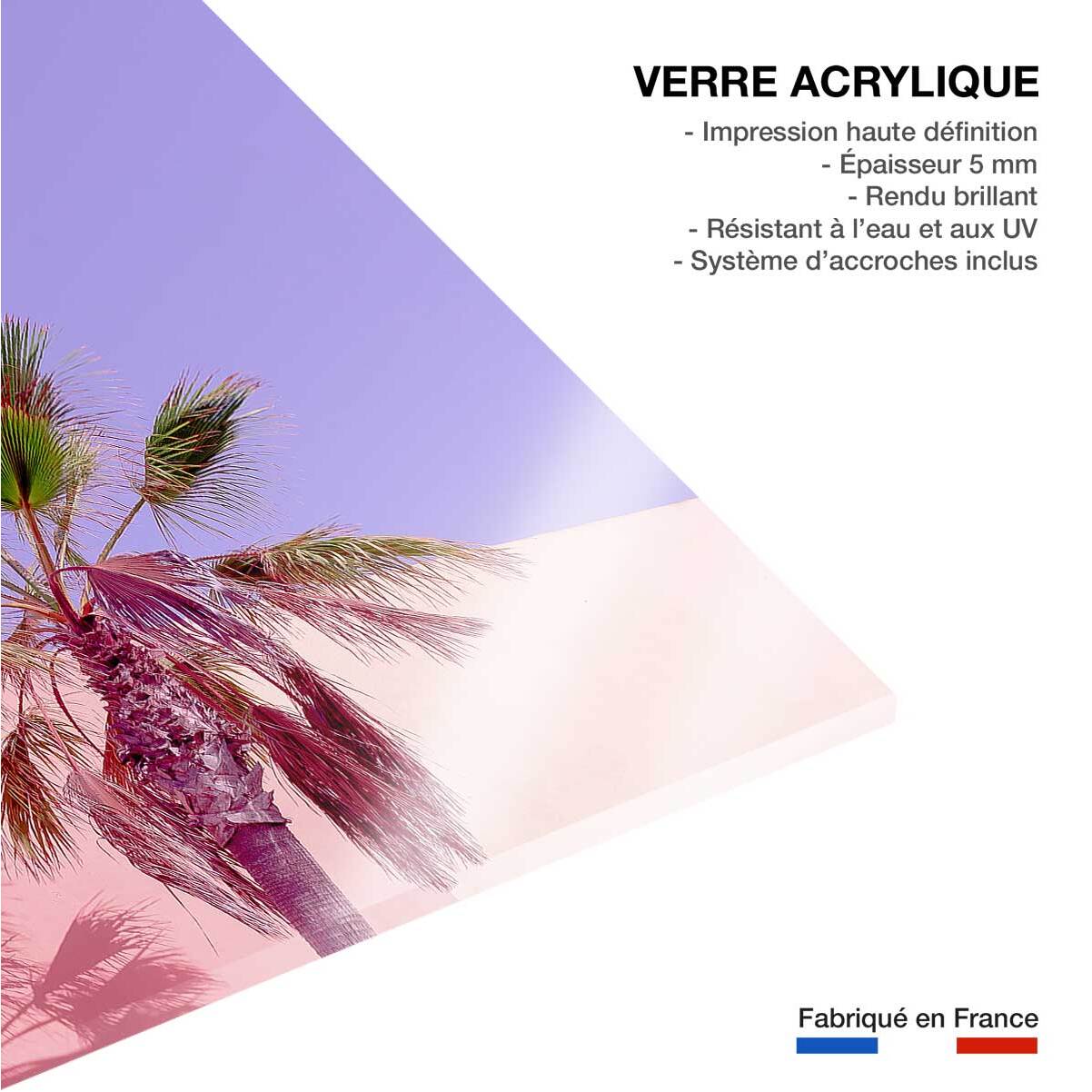 Tableau pink palma Tableau plexiglas