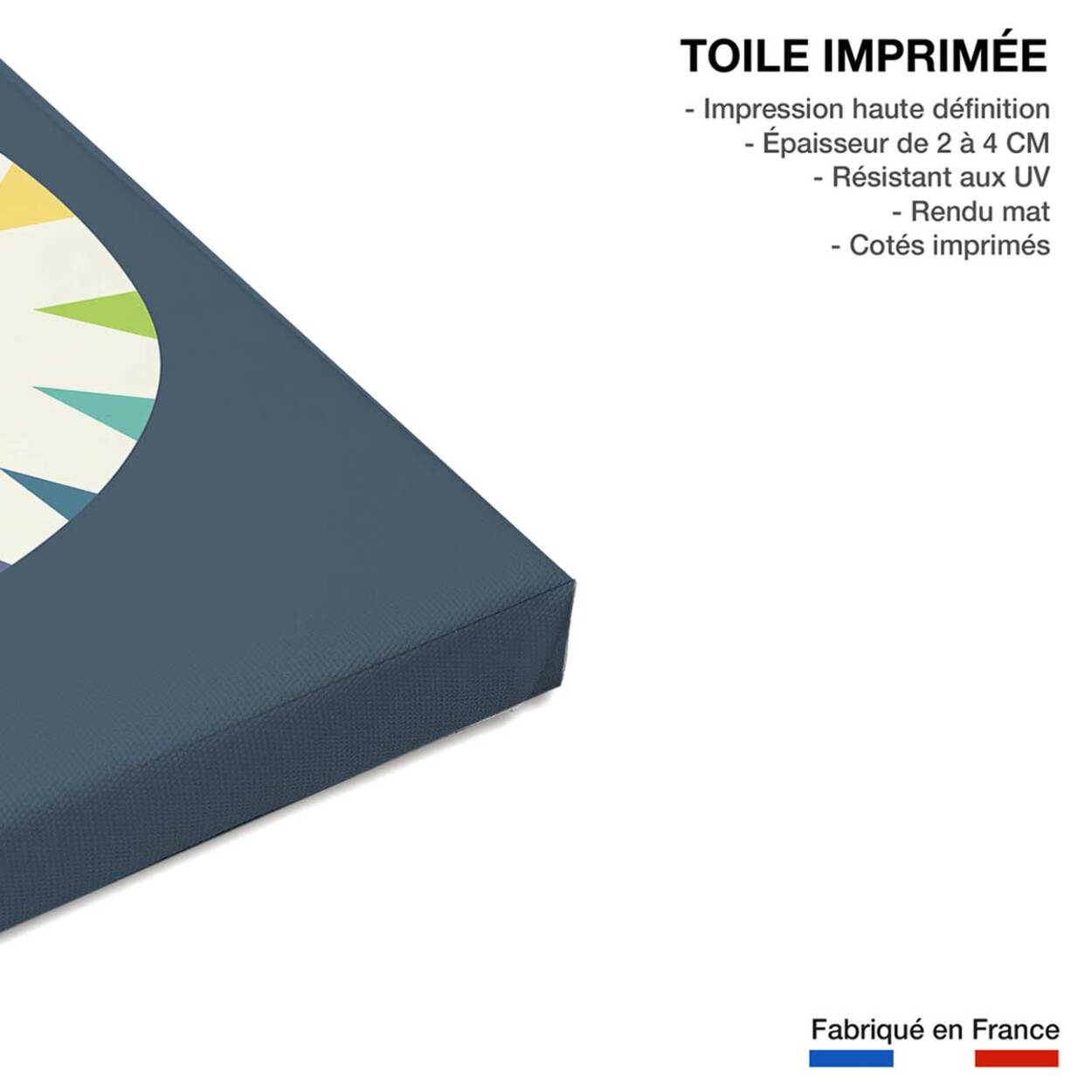 Tableau tigre en arc en ciel Toile imprimée