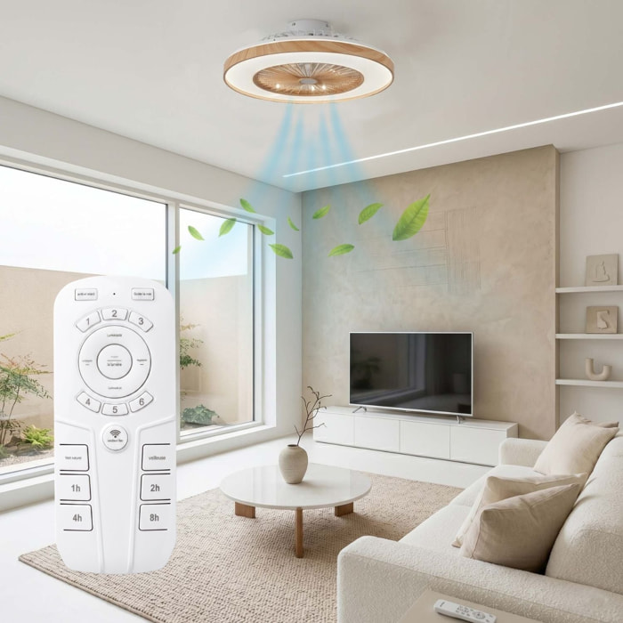 Ventilateur Plafond LED WOODIA D48CM