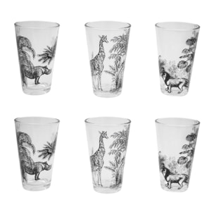 Lot de 6 verres, SAVANA