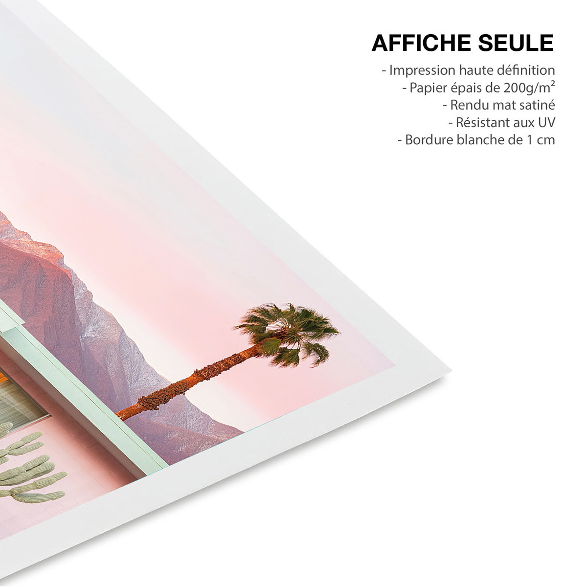 Affiche maison rose à toit plat Affiche seule