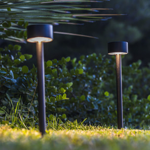 2 Balise solaire à piquer FORTY H30CM